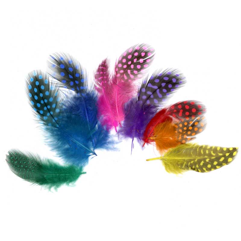 Perlhuhnfedern ca. 5 cm, 10 g