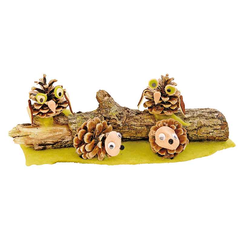 Kiefernzapfen, 500 g